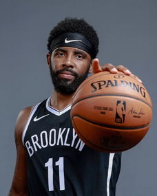 求补充性的 求补充性的