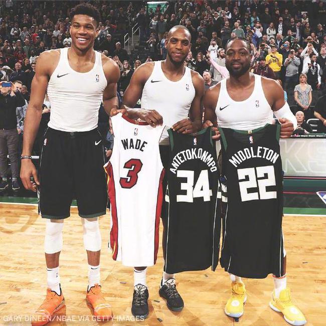 肋部保护上 肋部保护上