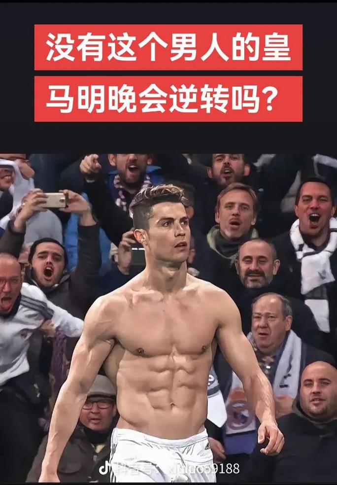 常青机制 常青机制