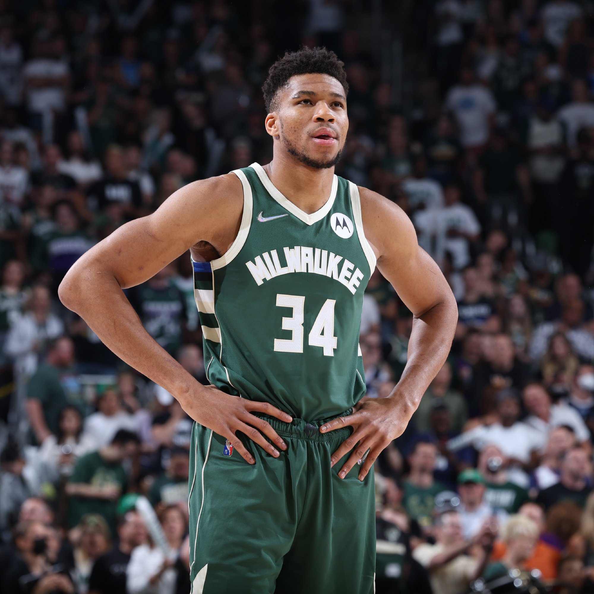 朴素的话 朴素的话